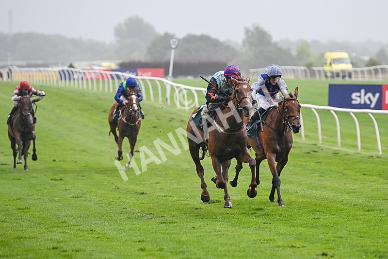 230725-Race 4-Brave Emerald-0201 - Race 4