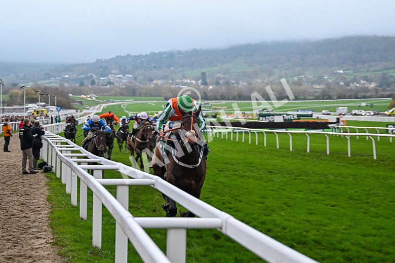 151125-Race 7-Celestial Tune-4778 - Race 7