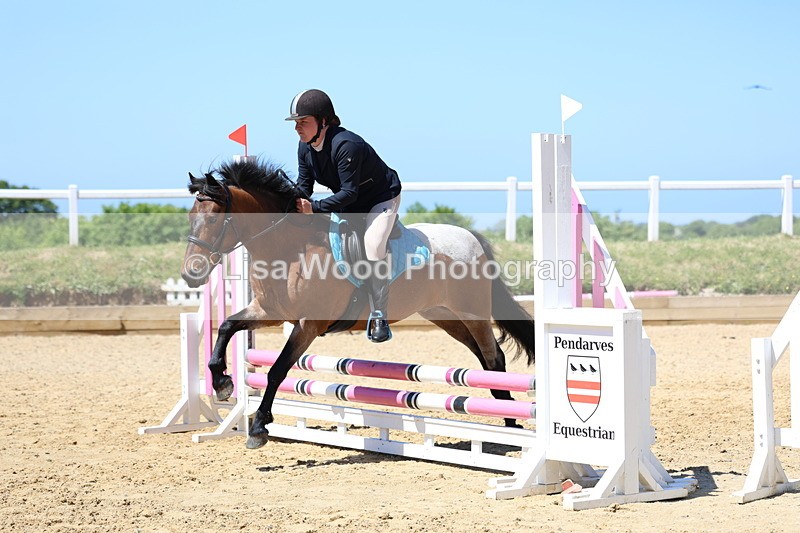 3E7A2626 - Class 4/5: 60cm Open Teams and Individuals