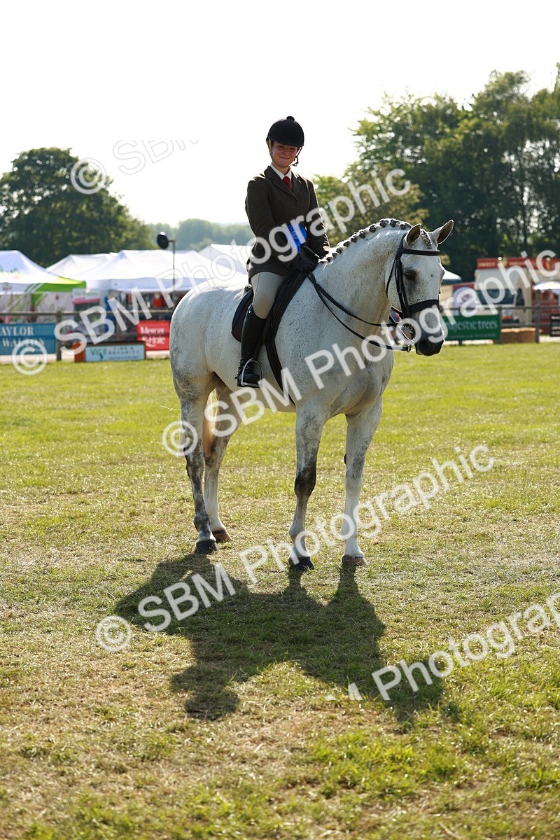 SBM_10963 - Class 66-69 - RIHS Ridden Hunters Inc Small Hunter