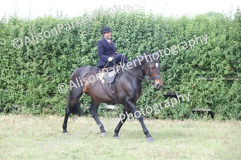 20250831-1284 - Class 15 - Ridden Veteran