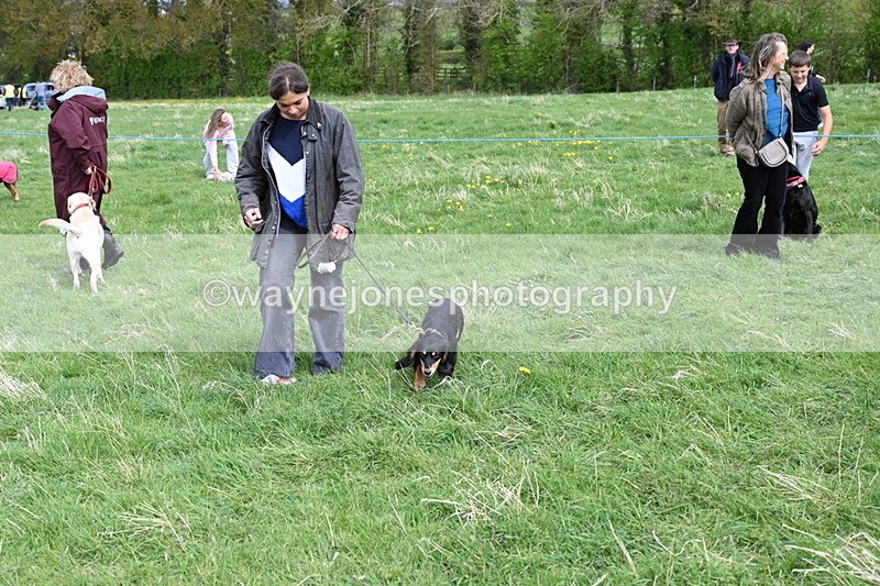 WJ6_8356 - Class 4 Prettiest Bitch