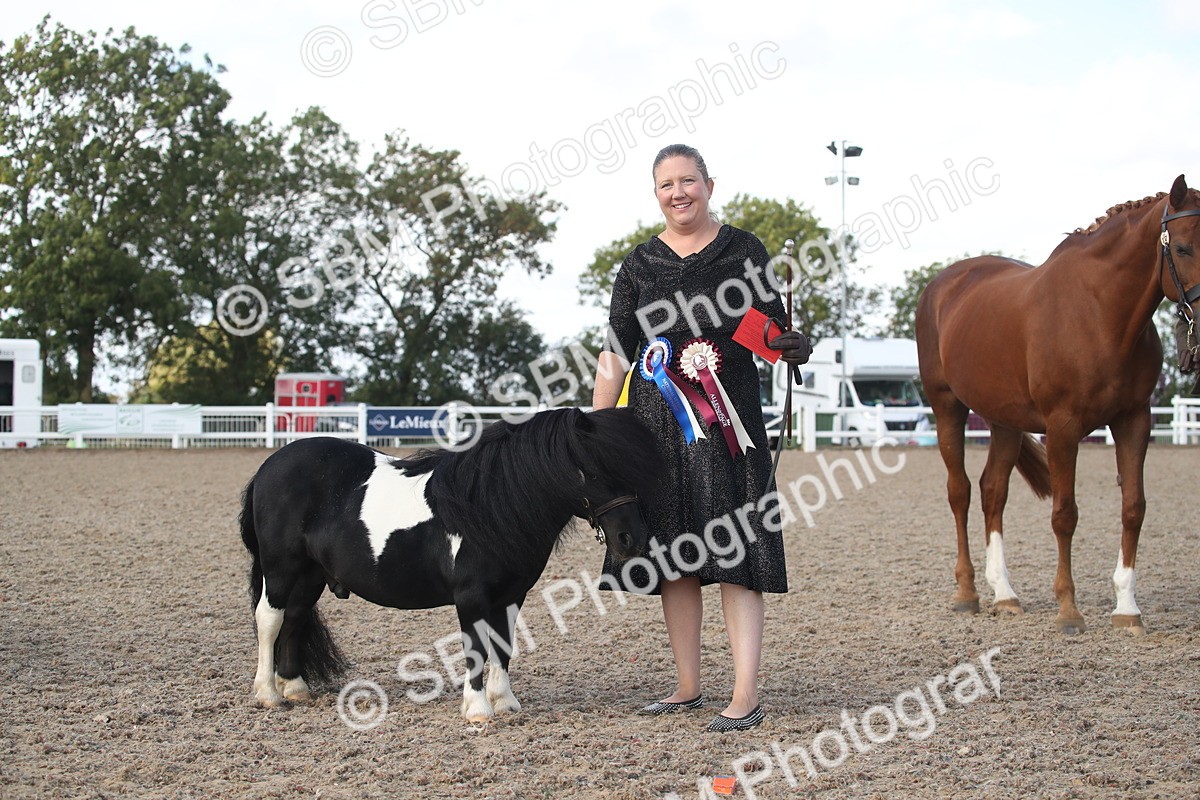 SBM_23159 - Class 606 - 2026 - Area - IH Pre Vet