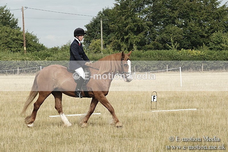 _PJP5608 - Dressage Classes BVRC Show 2018
