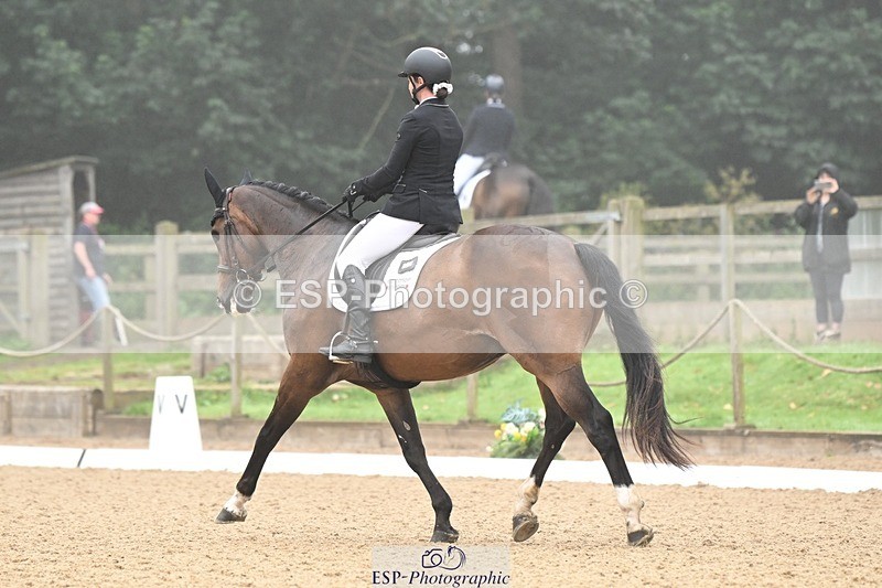 240811-093831-04823 - 119-Alice.Kneen-Dazzling.Springtime