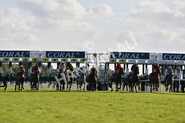 yr08102022r6-17 - Race 6 4.25pm The Watch Racing Online Free With Coral Handicap Stakes