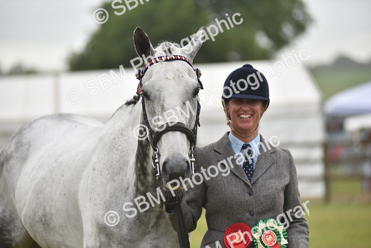 SBM_10673 - Class 109 - Retraining of Racehorses in Hand
