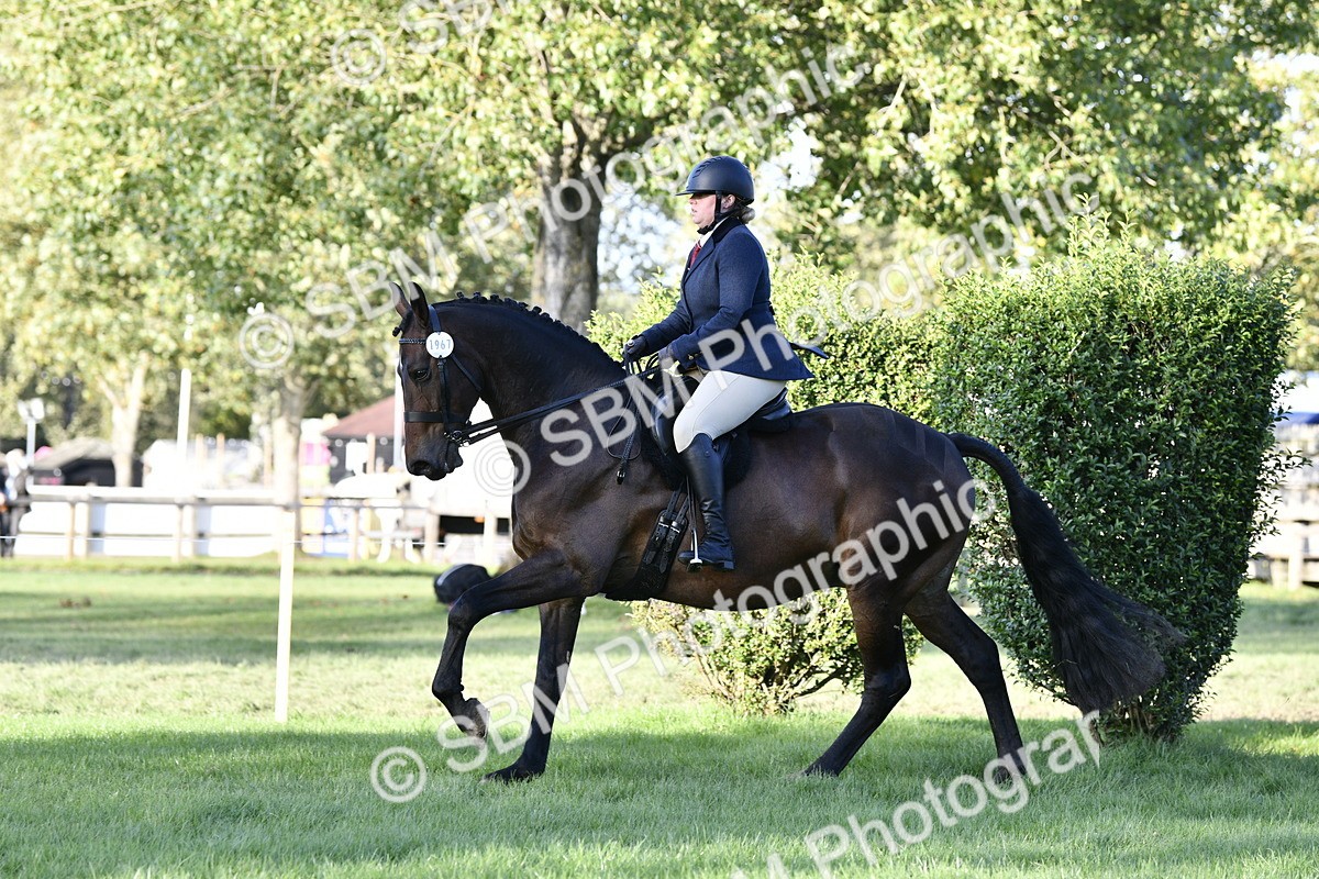 SBM_53522 - S14 - Riding Club Horse