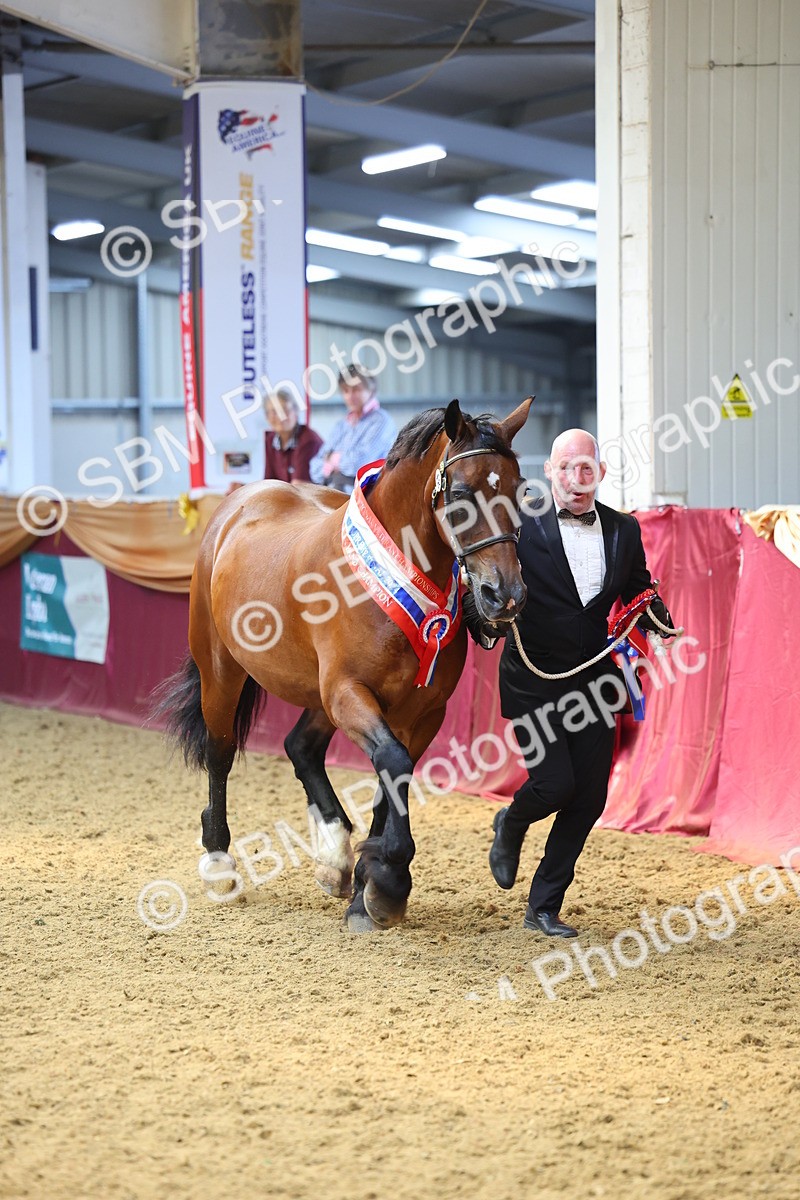 SBM_23263 - Supreme Final - IH Champion