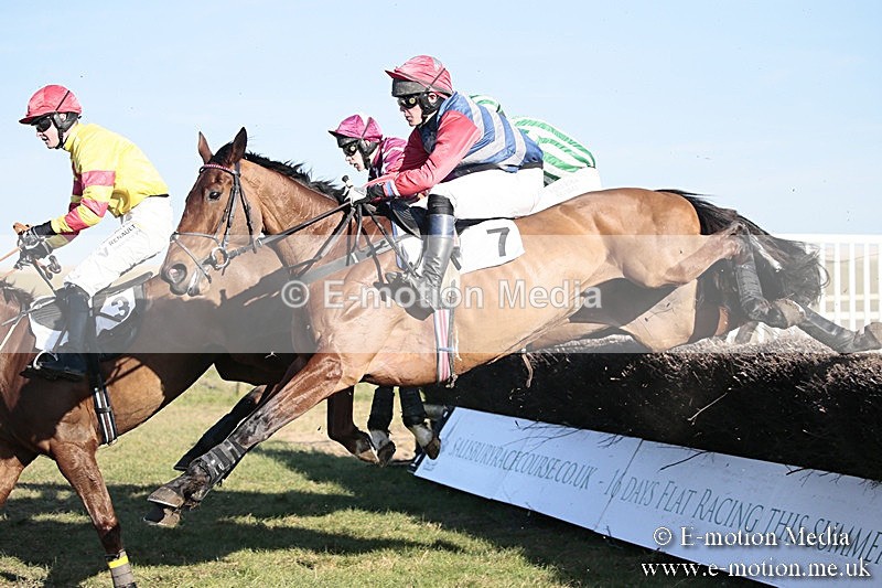 PtP 240218 579 - Vine & Craven Hunt Point-to-Point Barbury racecourse 24/02/18
