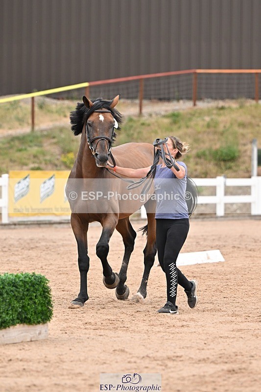 250716-160439-02395 - Trot Up 3.30 to 4.30