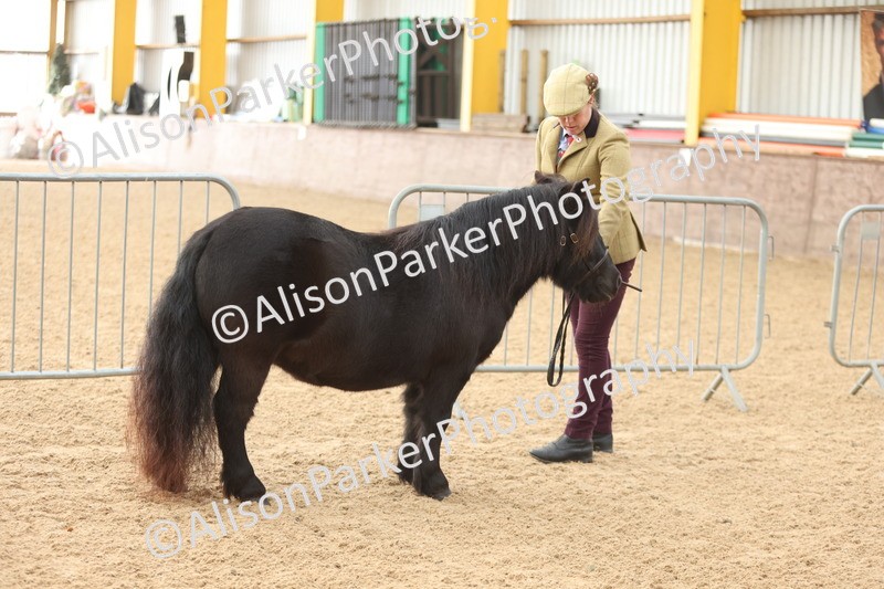 20251109-0103 - Class 5 - Mares 4 Years and over