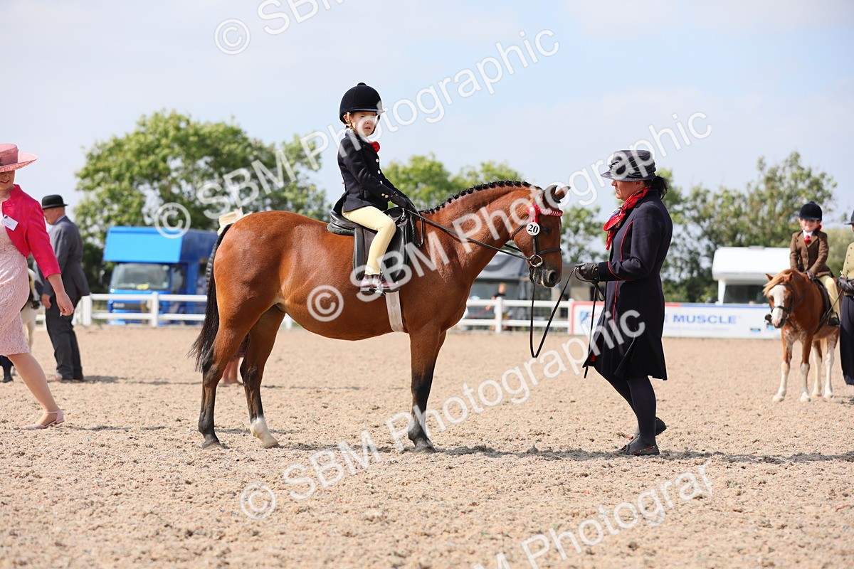 SBM_14047 - Class 309 Lead Rein Pony