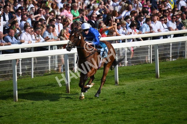 270523-Race 7-Shining Blue-0990 - Race 7 5.00pm Reg Bond Always And Forever Handicap