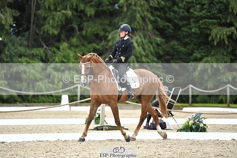 230812-141505-04651 - Cls 7 FEI PSG Bronze