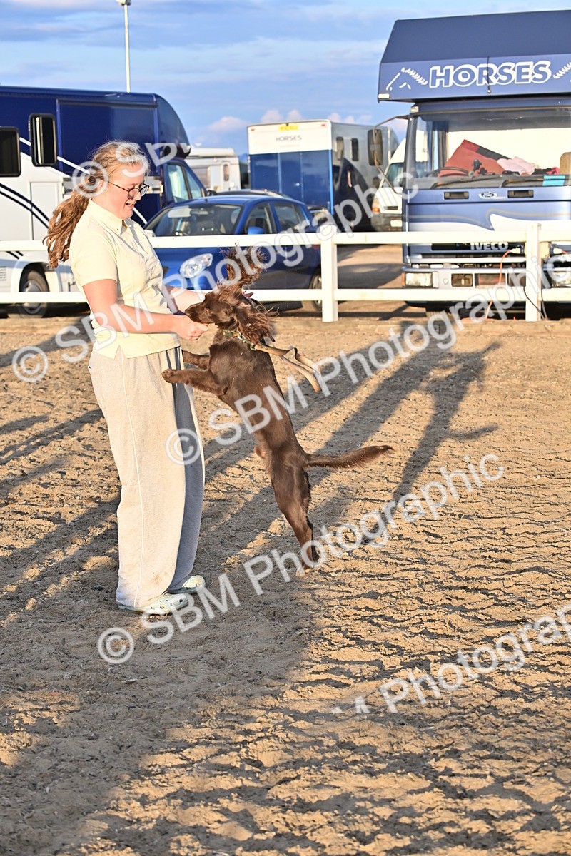 SBM_09675 - Lorry Dogs