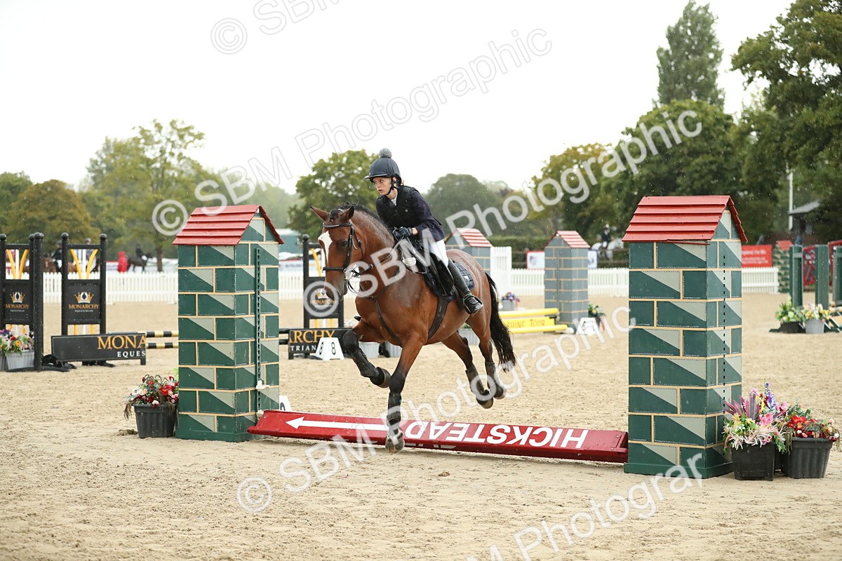 SBM_34311 - J60 Clear Round 50cm