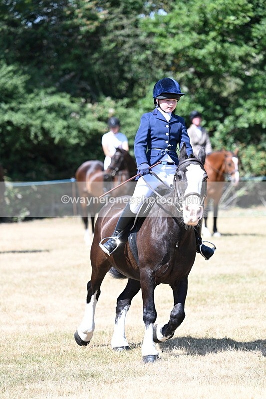 WJ7_3697 - Class 8 Ridden Veterans