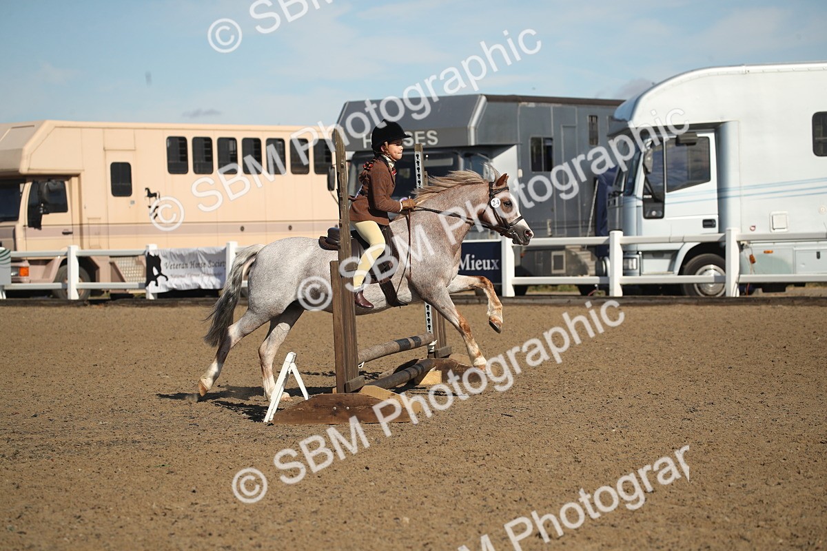 SBM_12711 - Class 504b - Junior Working Veteran - 40cm (20+)