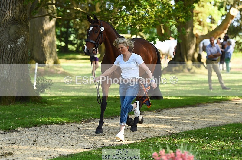 230524-163902-00998 - 164-TREBOR-Kelly_Mccarthy-maine-WEDTrotUp+DR