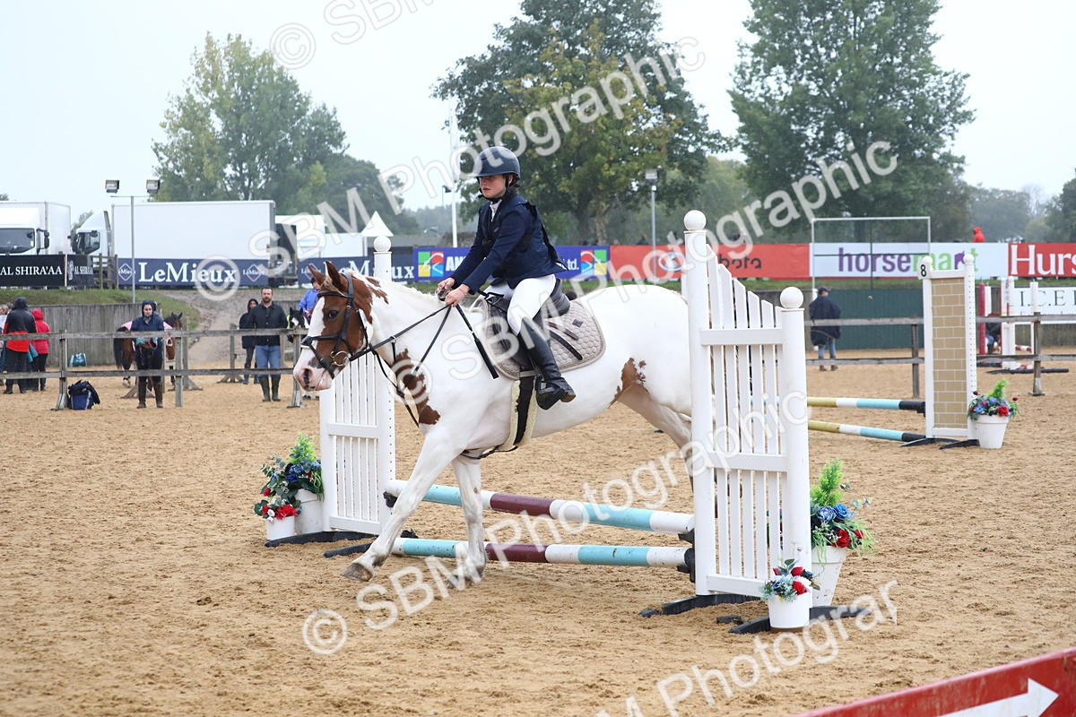 SBM_71709 - J4 - Mini Tour Junior Pony 45cm Championship