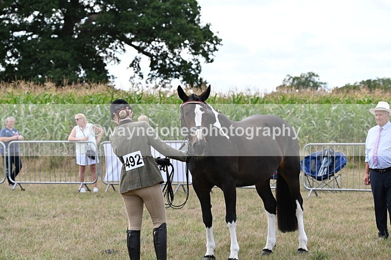 WJ6_6215 - Class 19 In-hand Veterans (Uploaded correct folder)