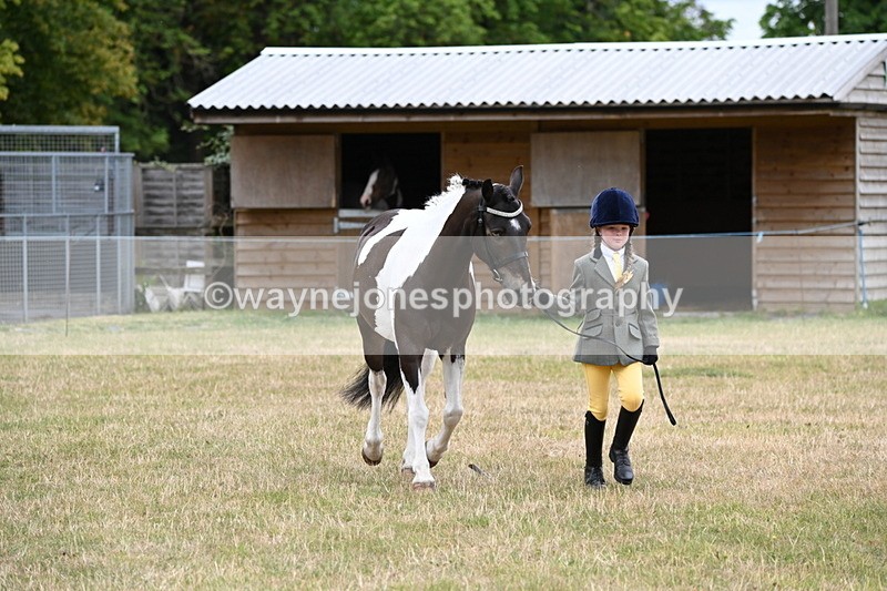WJ6_4335 - Class 10 Coloured In-hand