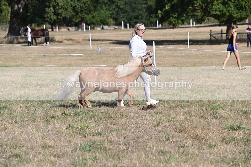 WJ6_7253 - Class 33 Rescue Pony