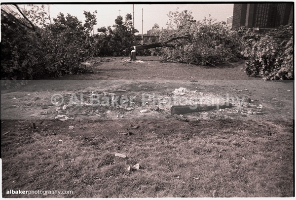 32 - Hulme Gallery (c)