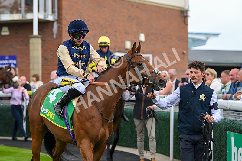 240525-Race 3-Old Is Gold-0687 - Race 3