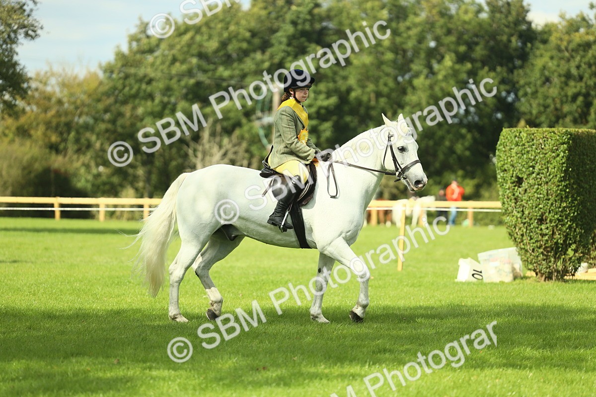 SBM_44885 - Working Hunter Pony Supreme Championship