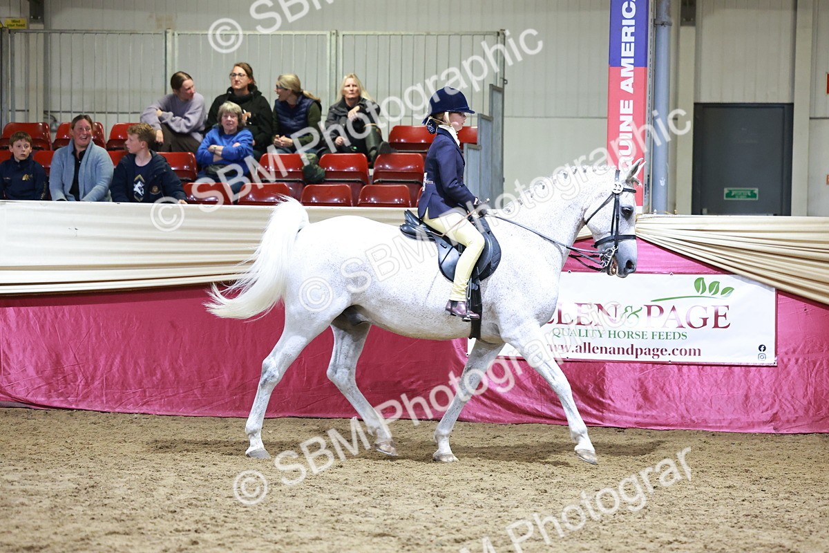 SBM_20685 - Class J - Foreign Breeds Champ
