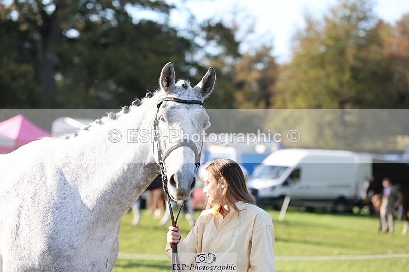 241027-100444-15677 - 549-Hannah.Wells-DEARDS.SIR.KNIGHT