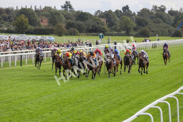 230923-Race 4-Aphelios-5311 - Race 4 3.45pm Jigsaw Sports Branding Handicap