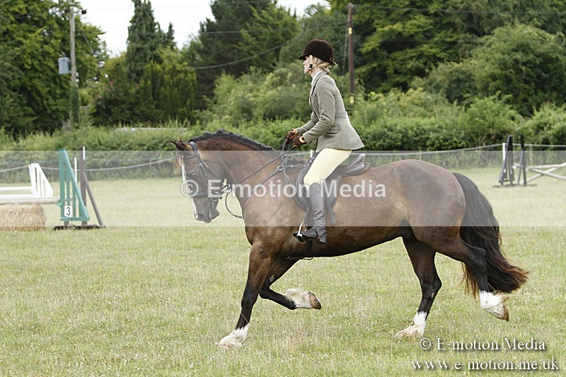 BVR160717-91 - Ring 3 BVRC Show 16/07/17