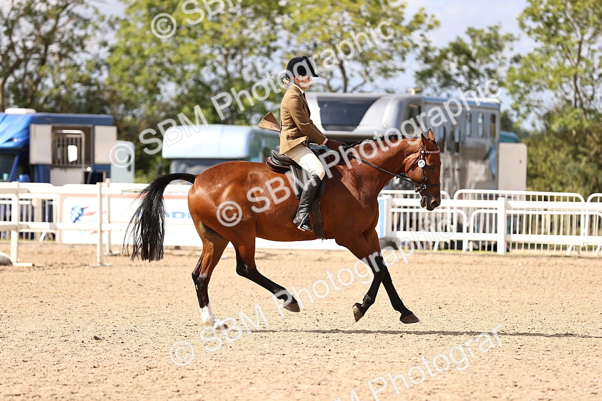 SBM_12925 - Class 410 - Grassroots Ridden - Horse