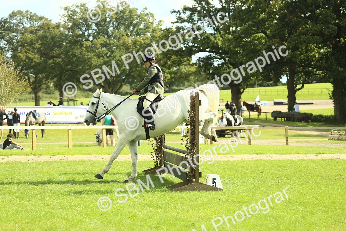 SBM_48041 - S32 - Novice & Newcomers Working Hunter
