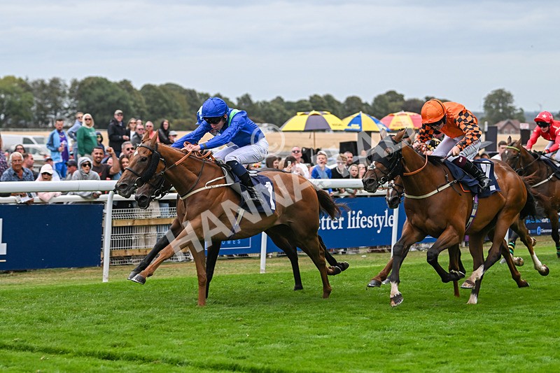 300825-Race 7-Urban Sprawl-2153 - Race 7