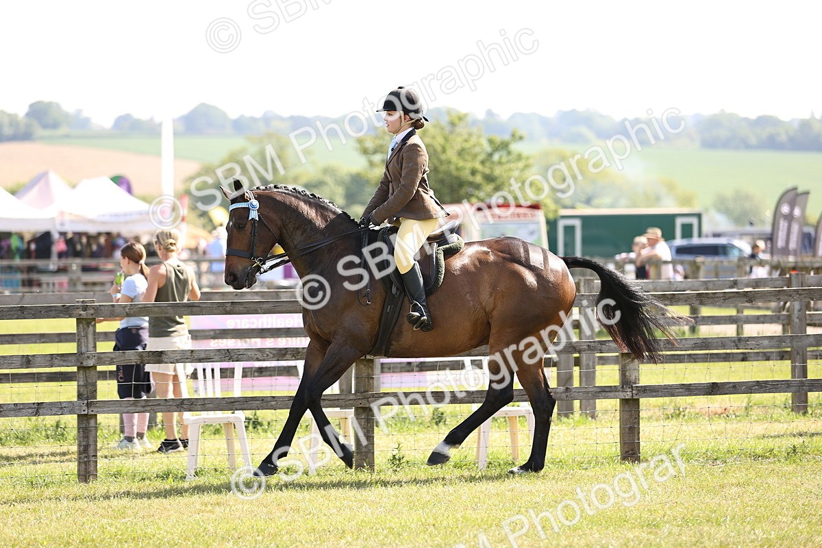 SBM_12900 - Class 75-76 LIHS BSHA Rising Star Hack Riding Horse