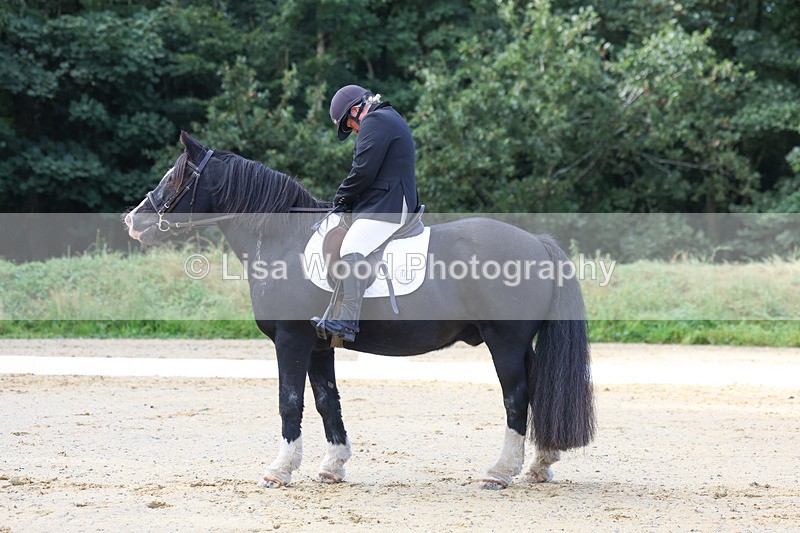 3E7A2351 - Class 1: Intro 4 2024 section A