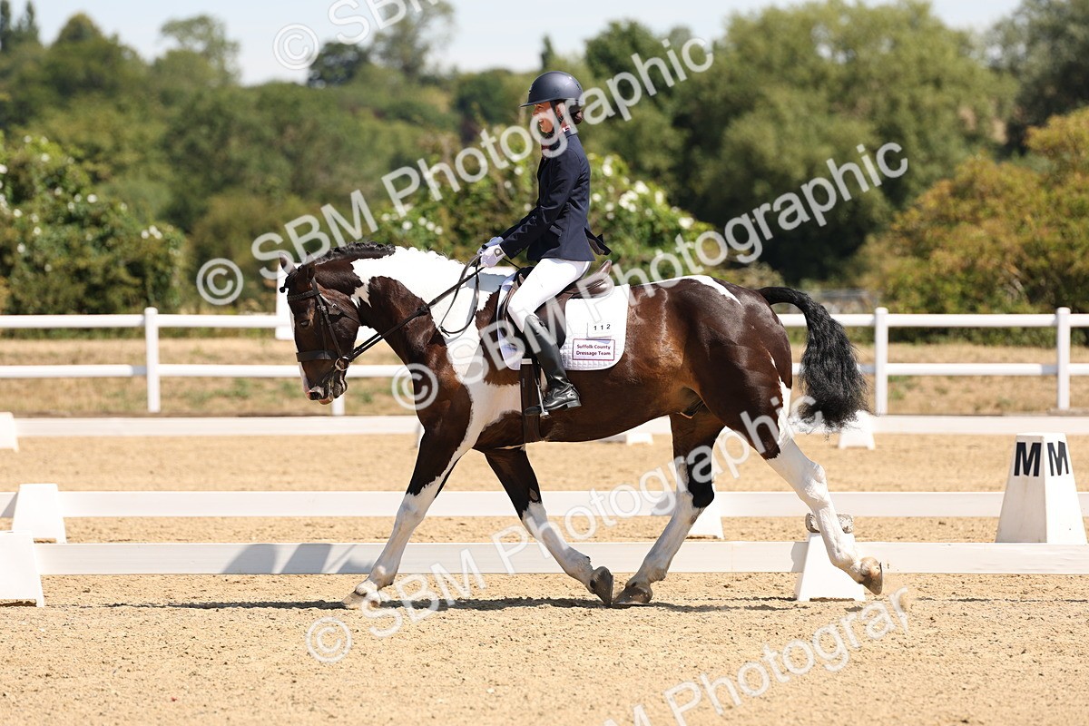SBM_001251 - Intro 2