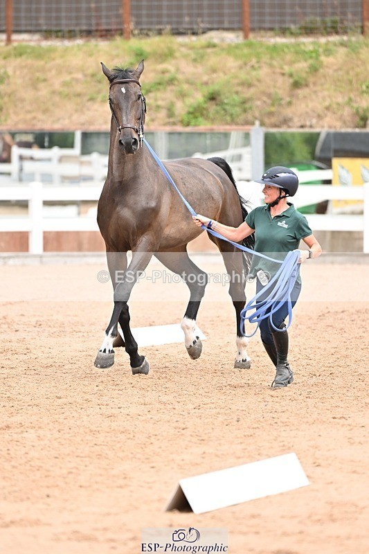 250716-143930-01264 - Trot Up 2.30 to 3.30