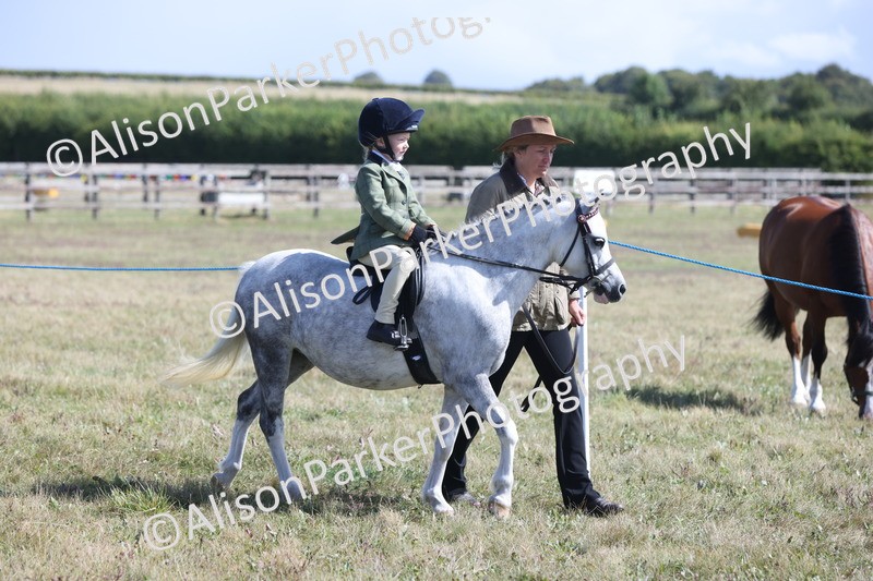 20250831-2595 - Class 17 - Lead Rein Pony