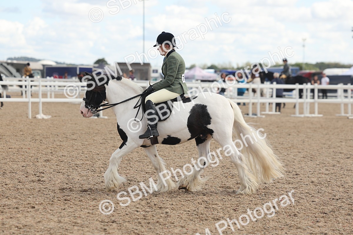 SBM_14661 - Class 307 - Ridden Coloured Pony