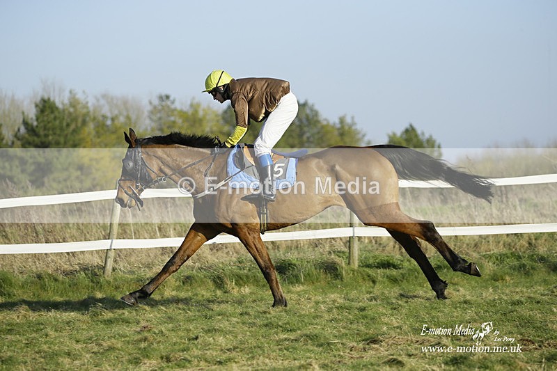 PtP 270222 491 - South & West Wilts Point-to-Point Larkhill 27/02/22