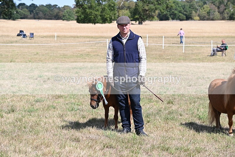WJ6_5059 - Class 17 Mountain & Moorland