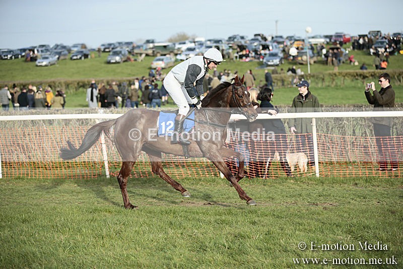 PtP 230319 523 - VWH Hunt Siddington Point-to-Point Racing 23/03/19