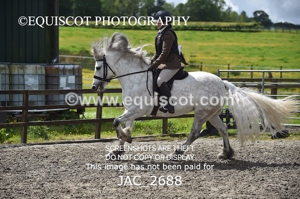 JAC_2688 - CLASS 4 BSPS Scone Palace HT Training Stakes Series