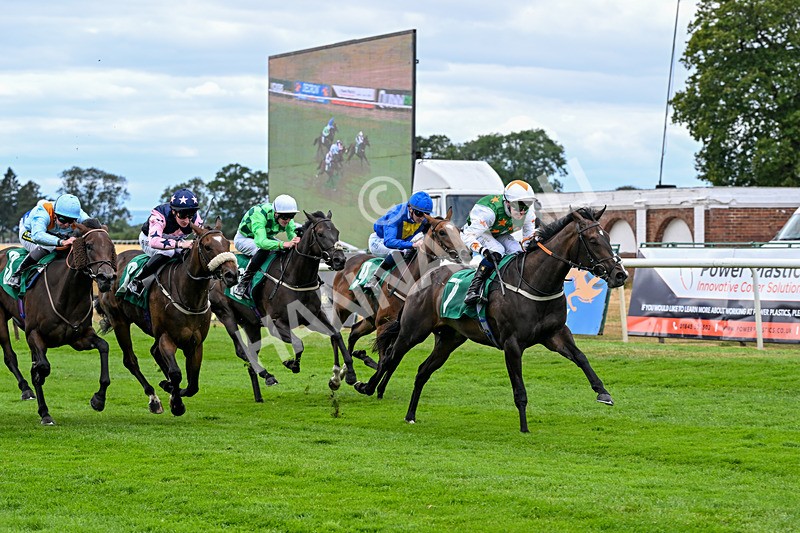 070826-Race 2-Prosperity Angel-1501 - Race 2 14.40pm Bob Vickery Memorial Restricted Maiden Fillies' Stakes