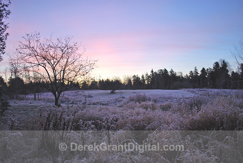 Frosted Dawn - Sunset/Moonrise